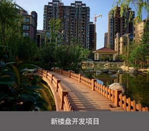 两层简易升降类机械式立体车库新楼盘开发项目