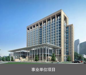 两层简易升降类机械式立体车库事业单位项目