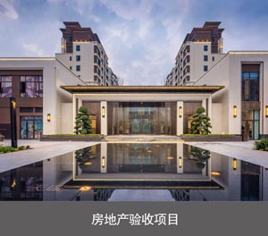 两层简易升降类机械式立体车库房地产验收项目